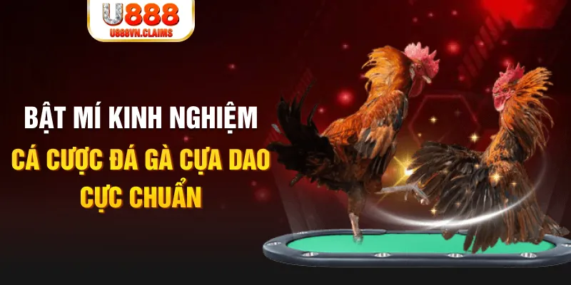 sum vip trong baccarat, ai là người chia bài chính？
