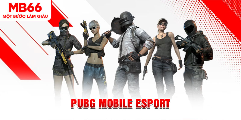 sum vip gà chọi c1 mới nhất