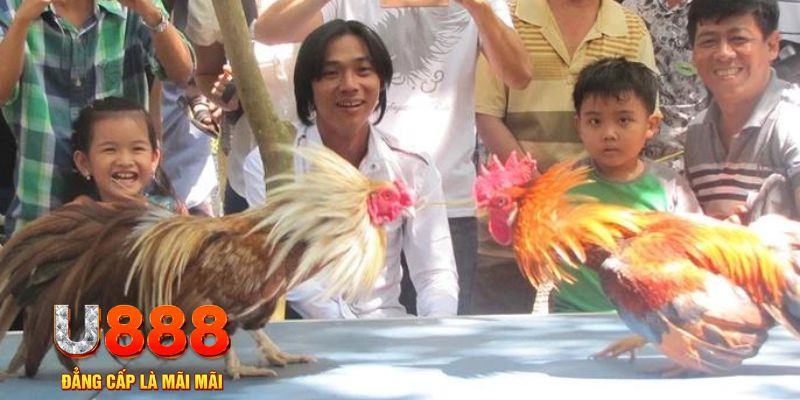 sum vip mơ thấy nổ hũ đánh con gì