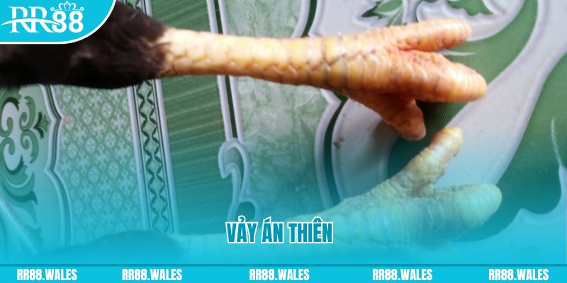 sum vip who wants to be a millionaire slot